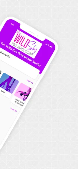 Game screenshot The Wild Sky Pole Dance Studio apk