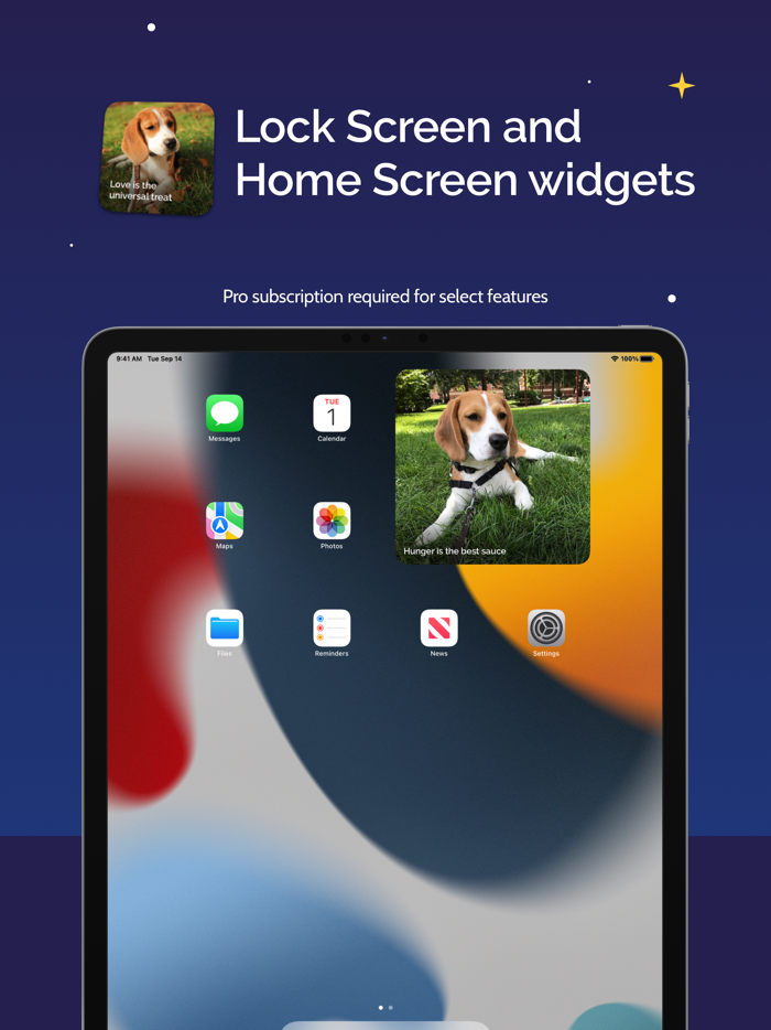 Puppy Therapy Calm and Sleep