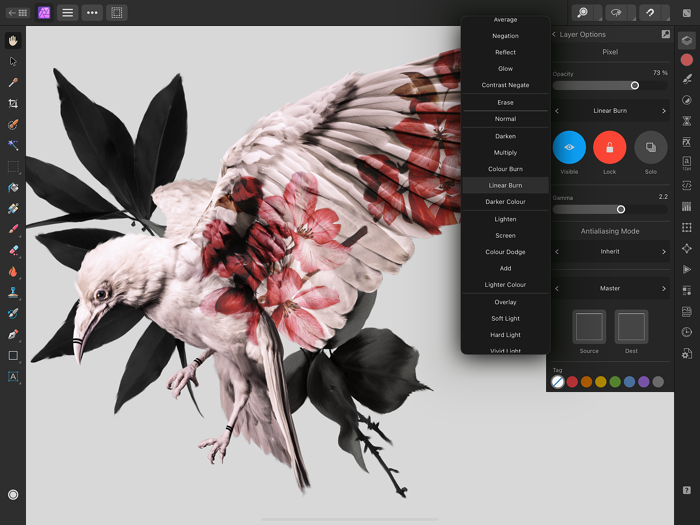 Affinity Photo 2 for iPad