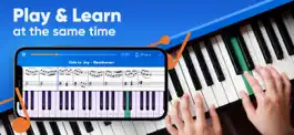 Game screenshot Piano Way - Learn to Play mod apk