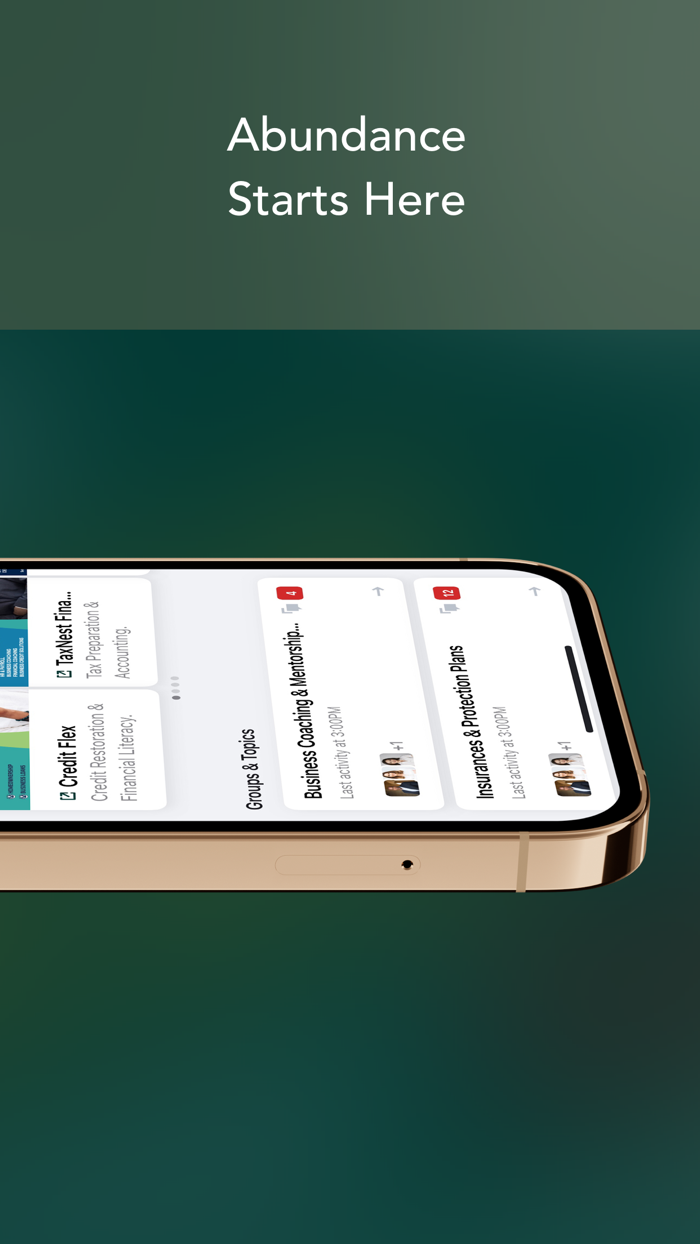 Abundant Living Consulting