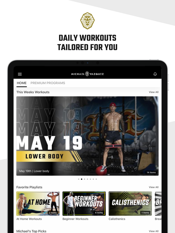 MV Fit by Michael Vazquez