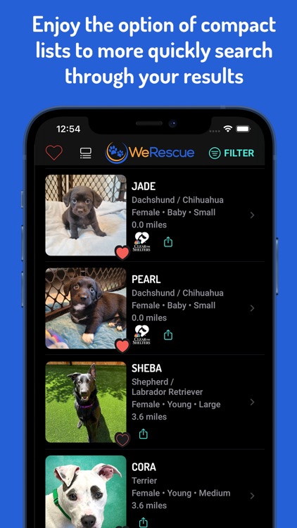 WeRescue: Adopt a Pet Search