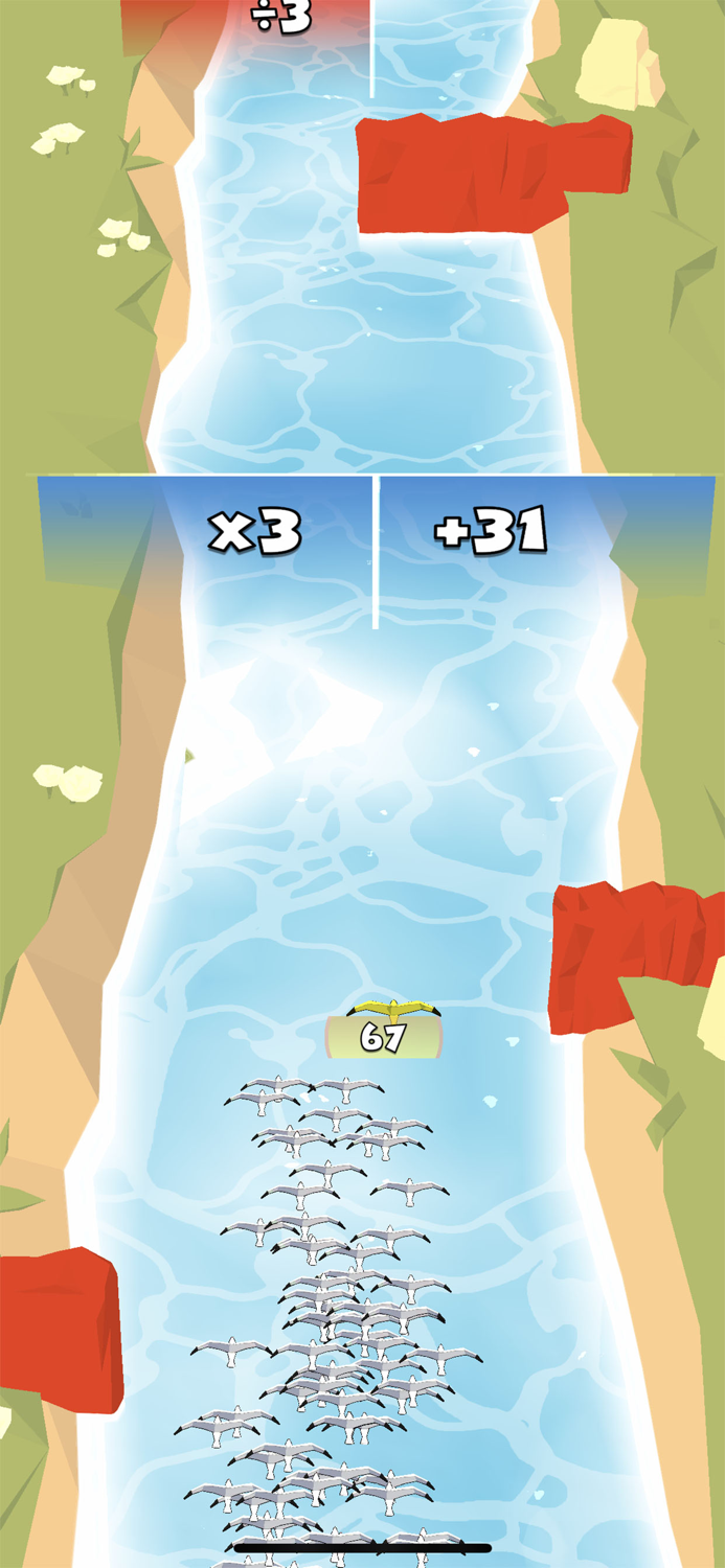 Dodgy Flyers - Birds Survival