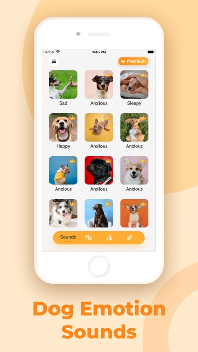 Dog Translator, Games for Dogs Screenshot