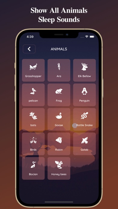 Sleep Sounds and Meditations Screenshot