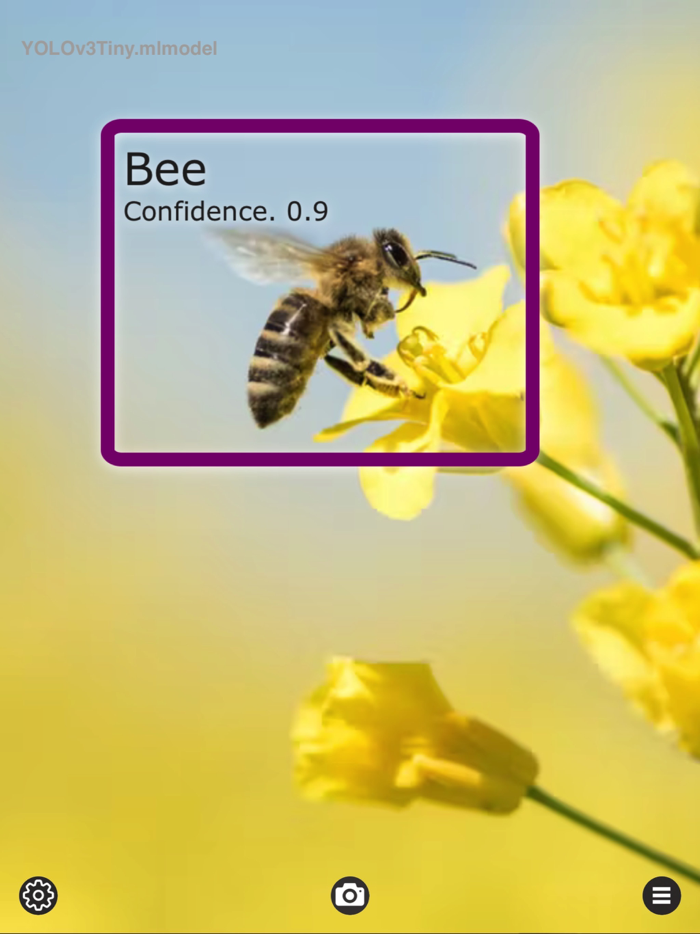Object Detection Cam