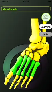foot bones: speed anatomy quiz problems & solutions and troubleshooting guide - 1