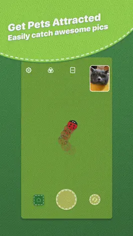 Game screenshot HeyPet: Toy Cam for Pets apk