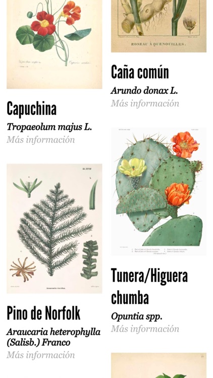 Kleos Guiniguada screenshot-4