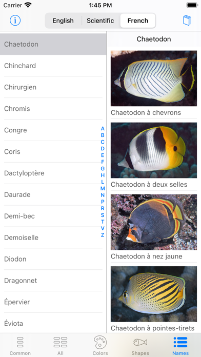 Tahiti Fish ID screenshot 6