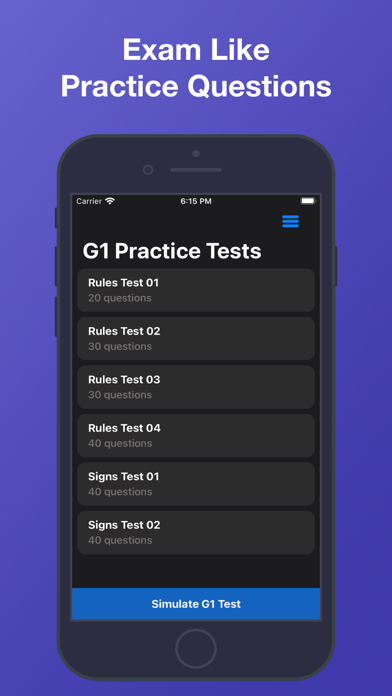 G1 Driver's Test Screenshot