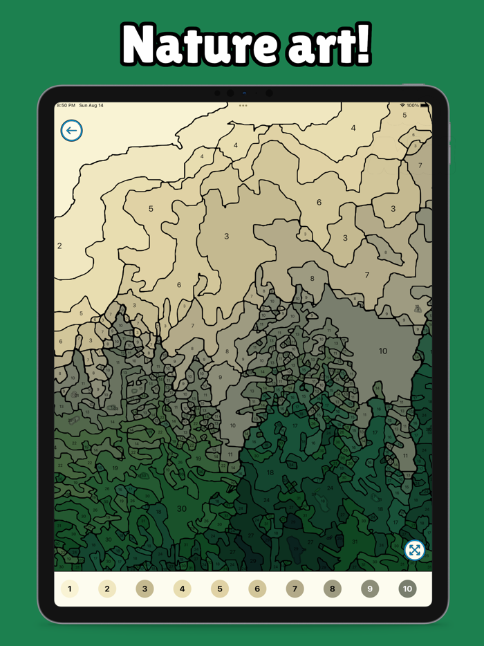 Mega Color - Paint by Number