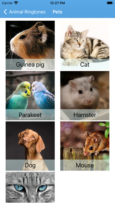 Funny Animal Ringtones Sounds Screenshot