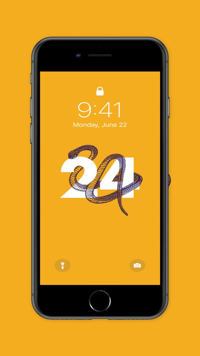 Basketball Wallpaper ™