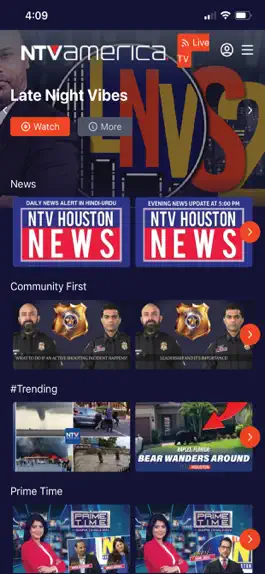 Game screenshot NTV America apk