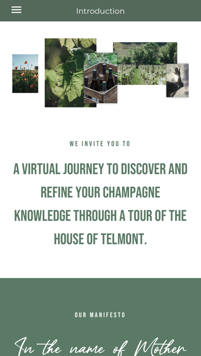 Screenshot #2 pour My e/TELMONT