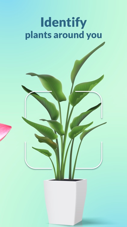 Plantility Plant Identifier