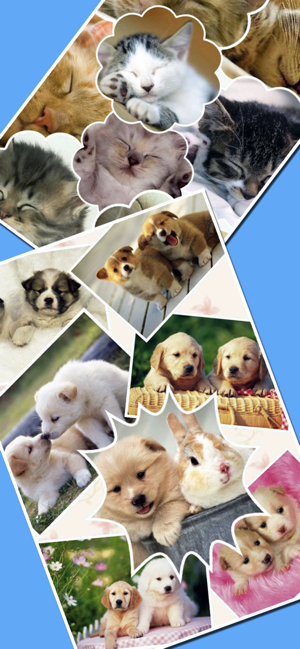 ‎Frame Collage Screenshot