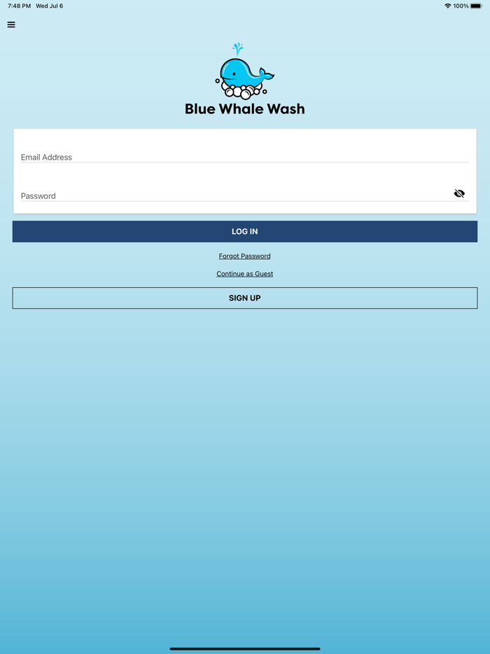 Blue Whale Wash