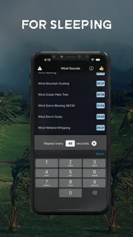 Game screenshot Wind Calming Night Sounds hack
