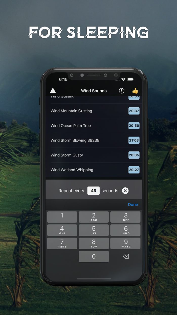 Wind Calming Night Sounds