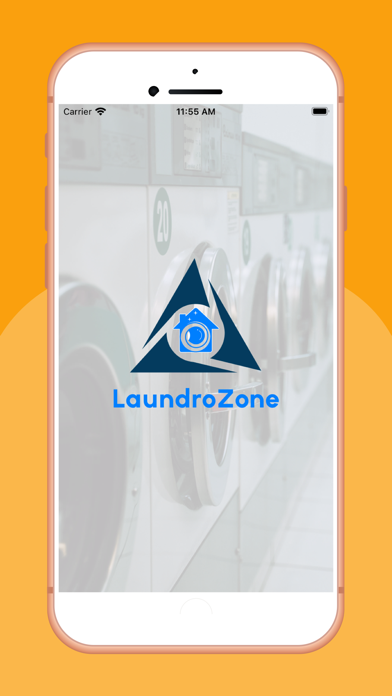 Laundrozone-Driver Screenshot