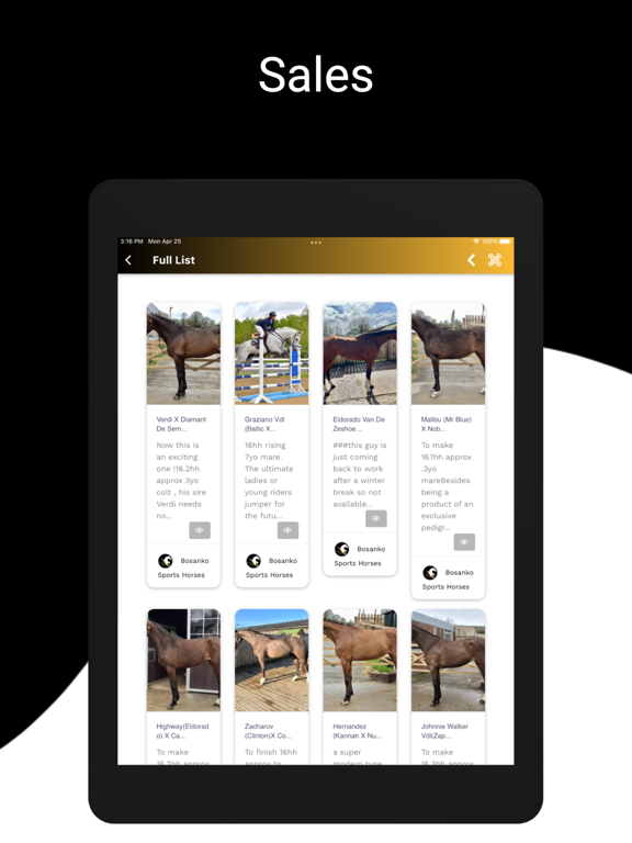 Bosanko Sports Horses iPad screenshot 4 - Sports app