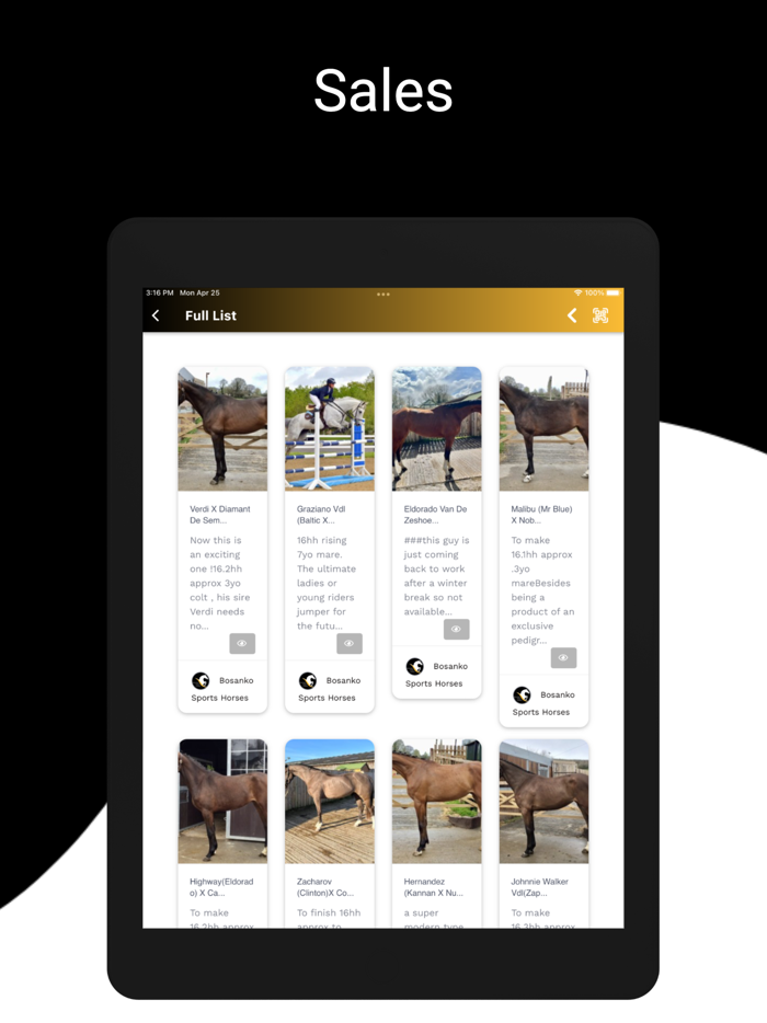 Bosanko Sports Horses