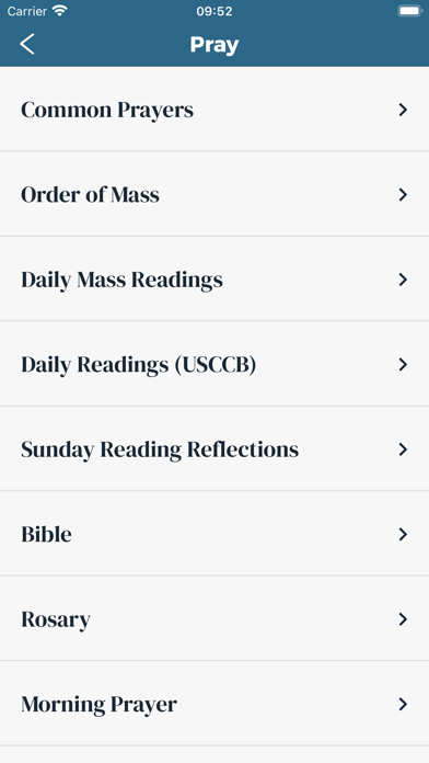 Lakeshore Catholic Community Screenshot