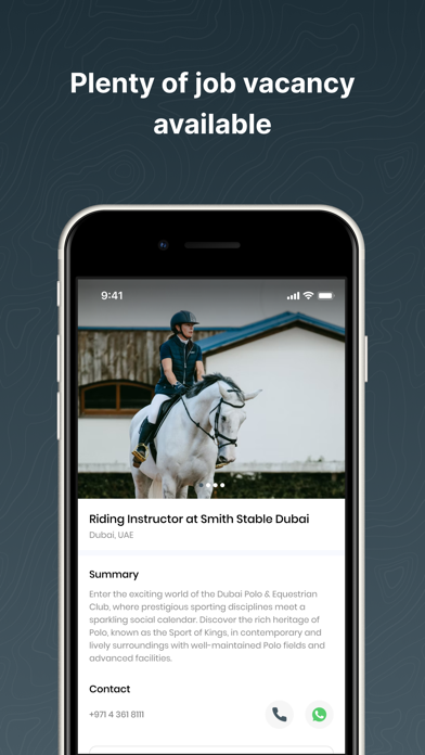 Horse Stores Screenshot