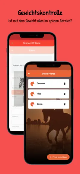 Game screenshot Wir wiegen Dein Pferd apk