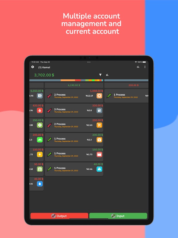 Income&Expense iPad screenshot