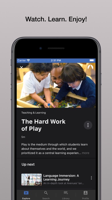 Avenues The World School Screenshot