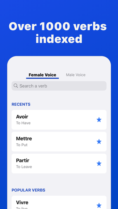 French Verbs: Conjugation Screenshot