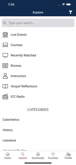 Game screenshot Institute of Catholic Culture hack