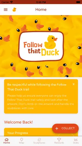 Game screenshot Follow That Duck mod apk