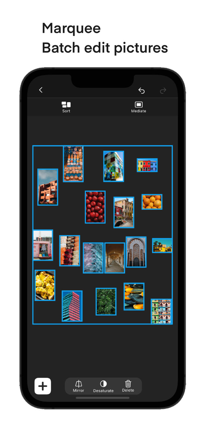 PicRef - for reference picture