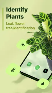 leaf identification iphone screenshot 1