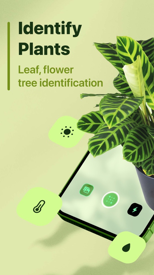 Leaf Identification - 1.2.3 - (iOS)