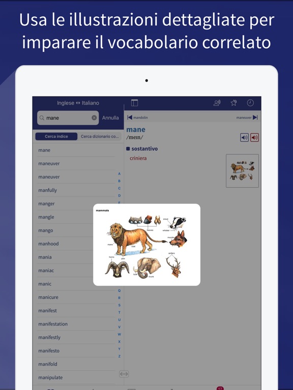 Screenshot #6 pour Dizionario Oxford Study
