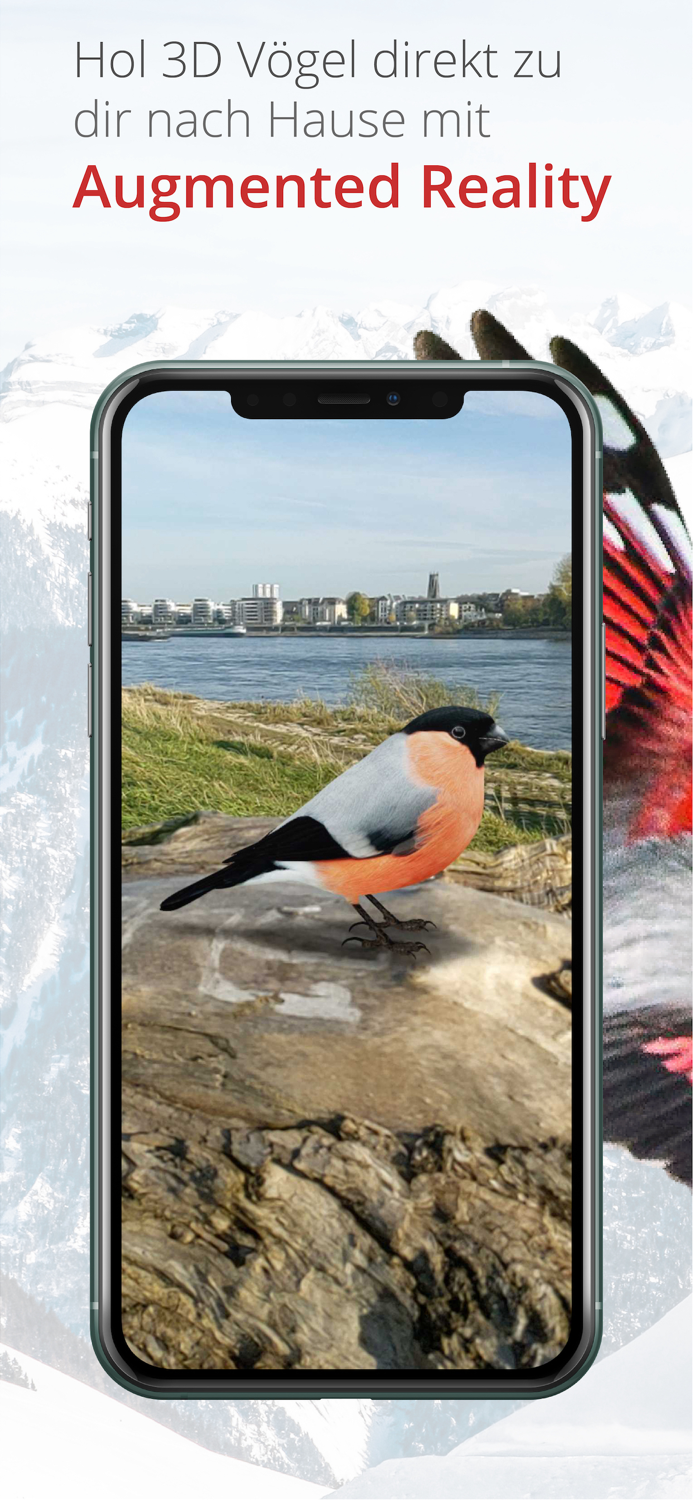 Vogelführer Birdlife Schweiz