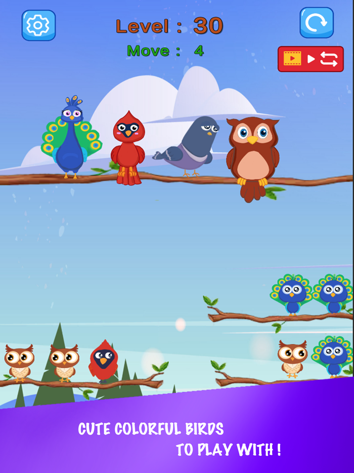 Baby bird sort  color puzzle