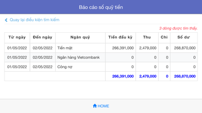 PhuongNamSoft Report Screenshot