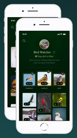 Game screenshot MirrorMirror Challenge mod apk