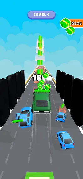 Game screenshot Crash Race 3D! hack
