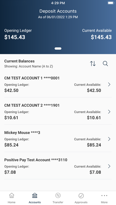 First American Bank eBusiness Screenshot