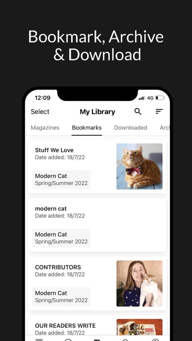 Modern Cat Screenshot