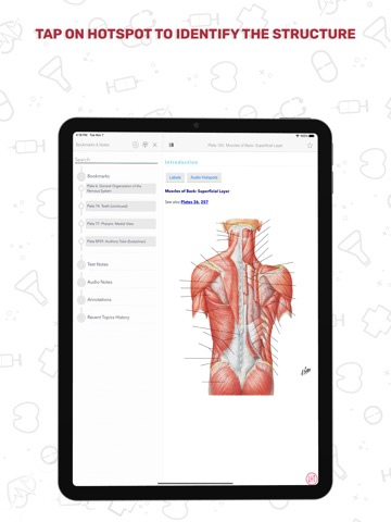 Human Anatomy Atlas +のおすすめ画像3