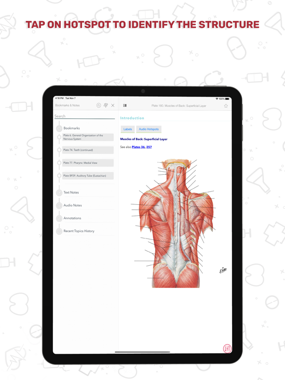 Screenshot #6 pour Human Anatomy Atlas +